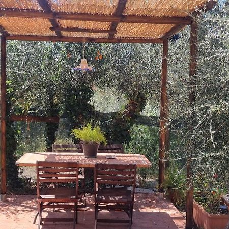 La Merla Del Tasso Camaiore Bagian luar foto