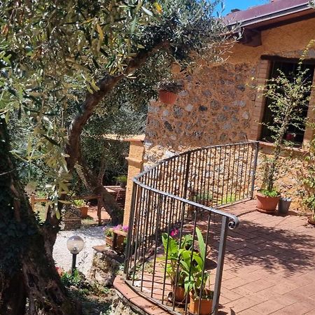 La Merla Del Tasso Camaiore Bagian luar foto