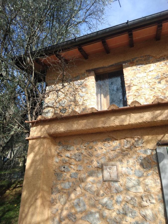 La Merla Del Tasso Camaiore Bagian luar foto