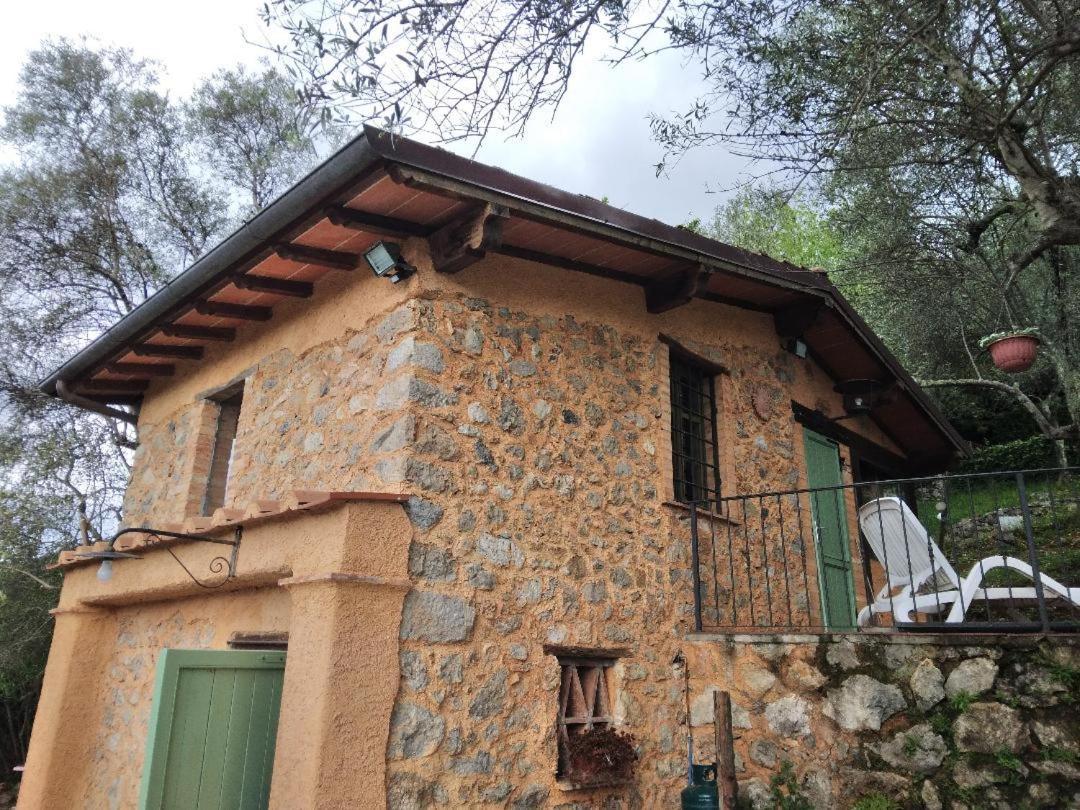 La Merla Del Tasso Camaiore Bagian luar foto