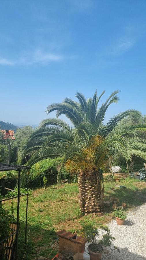 La Merla Del Tasso Camaiore Bagian luar foto