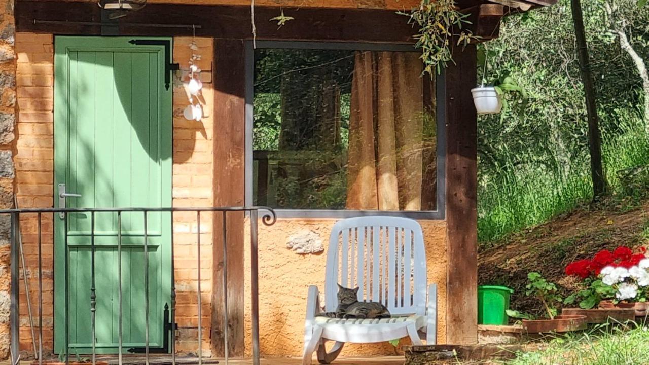 La Merla Del Tasso Camaiore Bagian luar foto