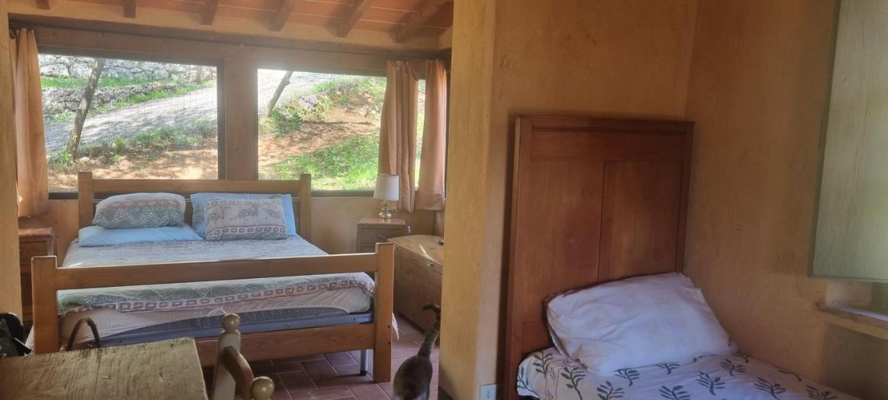 La Merla Del Tasso Camaiore Bagian luar foto