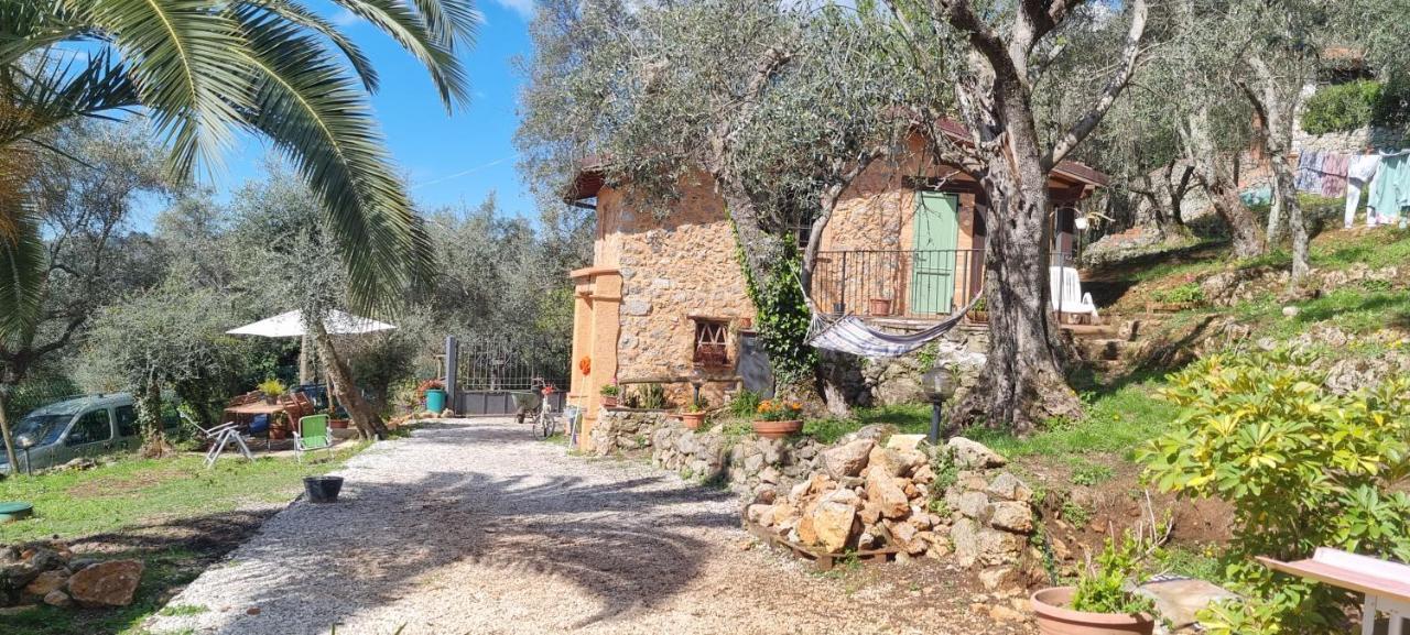 La Merla Del Tasso Camaiore Bagian luar foto
